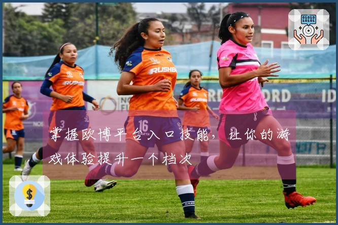 掌握欧博平台入口技能，让你的游戏体验提升一个档次