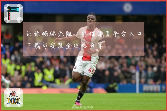 让你畅玩无阻，熊猫体育平台入口下载与安装全攻略分享