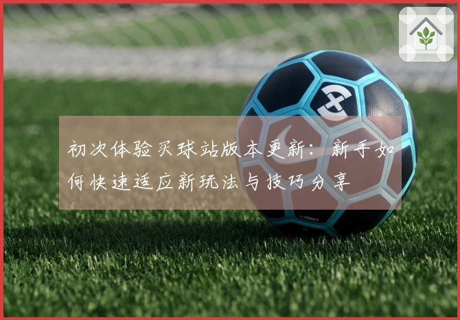 初次体验买球站版本更新：新手如何快速适应新玩法与技巧分享